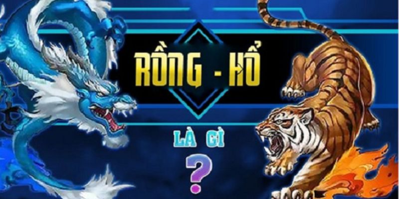 Tổng quan đơn giản về trò chơi Rồng Hổ